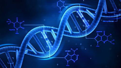 ¿Nuestro destino está determinado por nuestros genes?